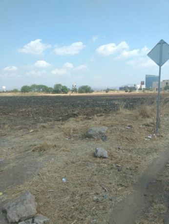 Guanajuato, ,Lote,En Venta,1010