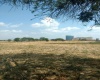 Guanajuato, ,Lote,En Venta,1010