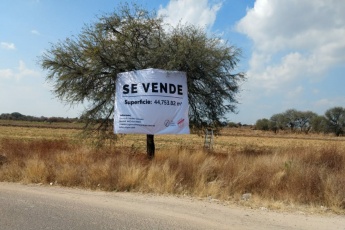 Guanajuato, ,Lote,En Venta,1010